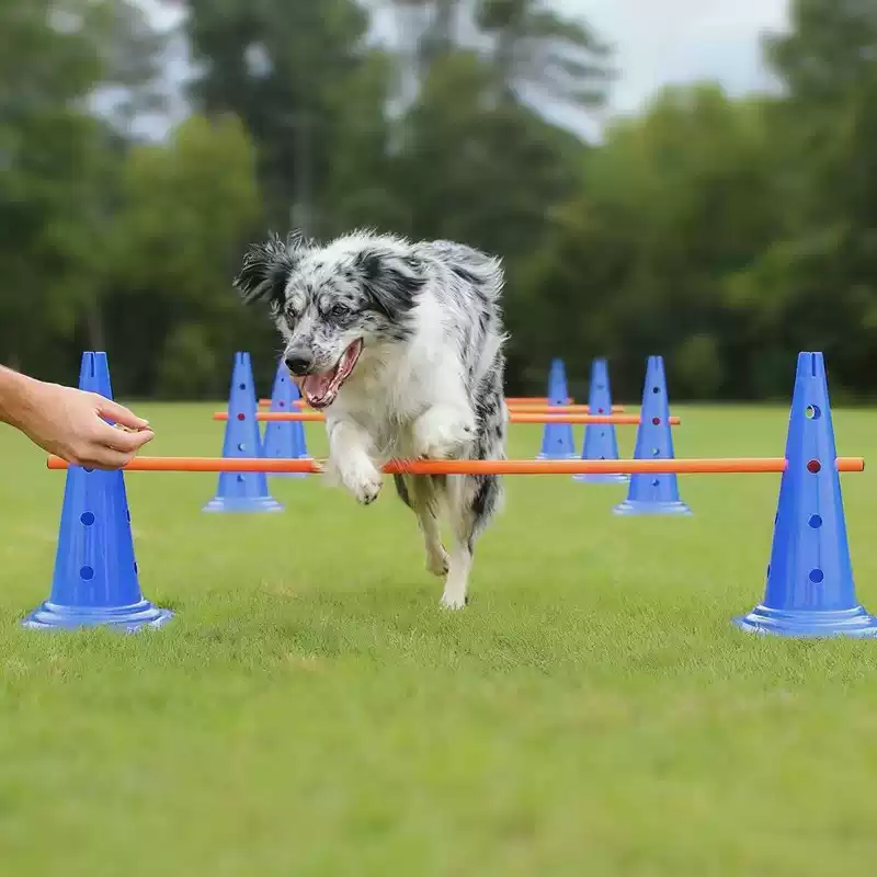 Agility Hurdle Set - 30CM Dog Agility Obstacle Set, Jump