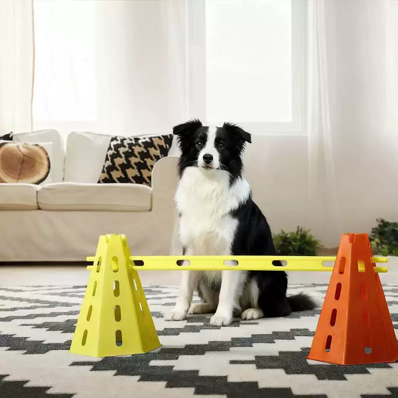 30CM Dog Agility Obstacle Set, - Agility Hurdle Set 评论和价格