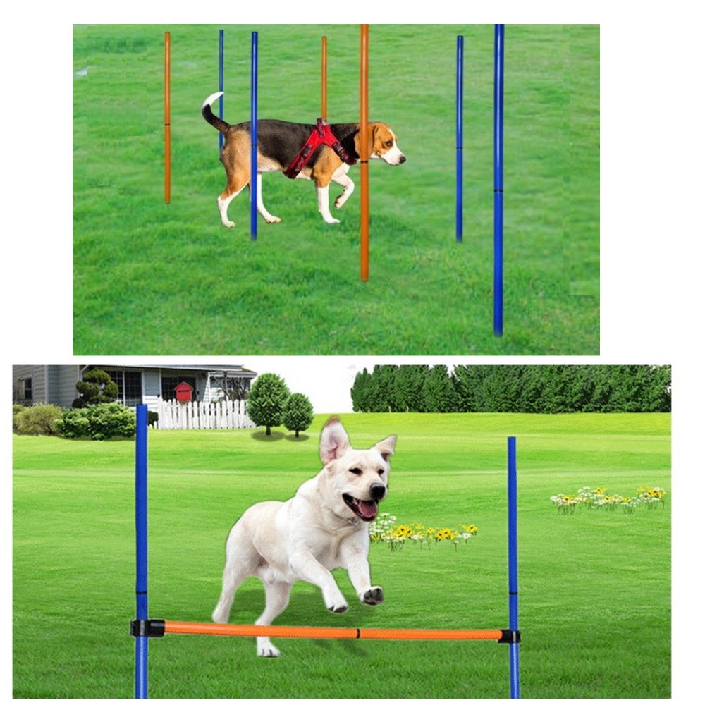 Pet Dog Agility Equipment Set  - Agility Hurdle Set 评论和价格