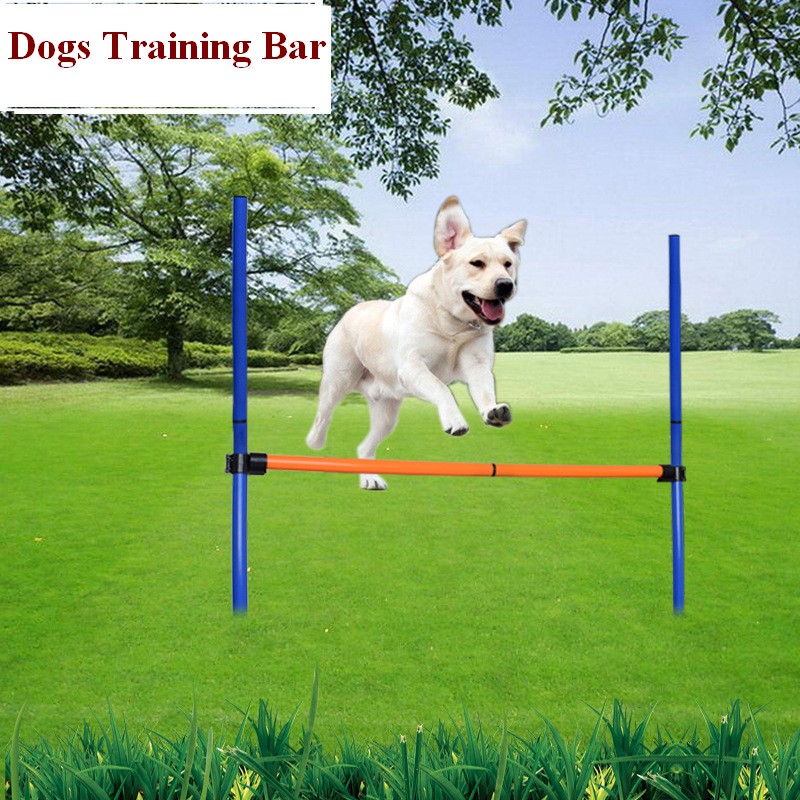 Pet Dog Agility Equipment Set  - Agility Hurdle Set 评论和价格