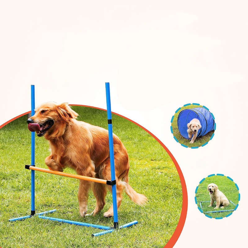 Amazon Dog Training Equipment  - Agility Hurdle Set 评论和价格