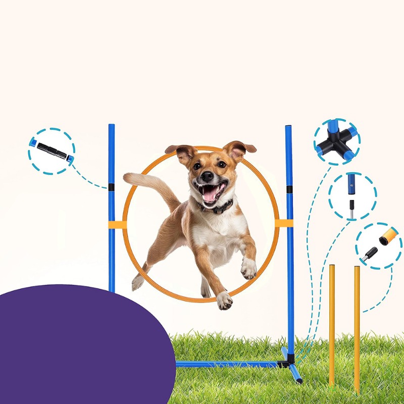 Amazon Dog Training Equipment  - Agility Hurdle Set 评论和价格