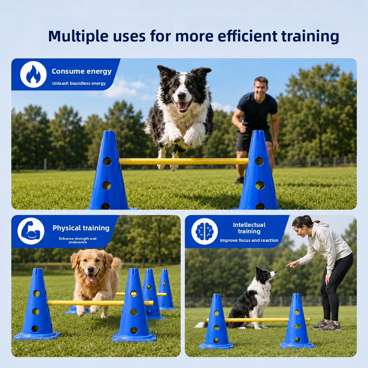 ZHAYA Dog Agility Training Set - Agility Hurdle Set 评论和价格